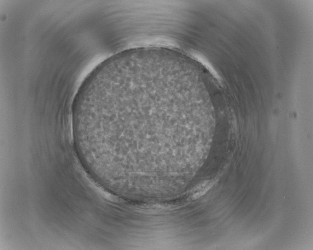 X0000078301079200611251502