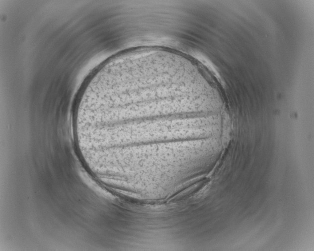 X0000078301080200611251502