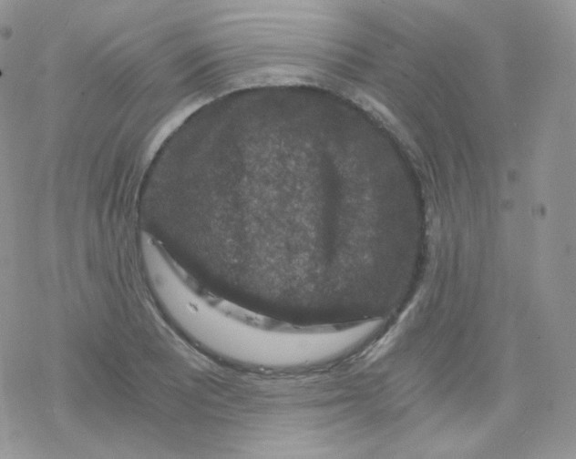 X0000078301081200611251502