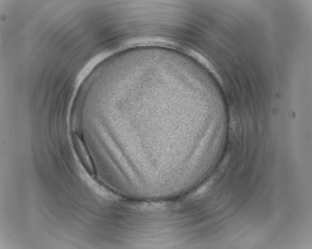 X0000078301082200611251502