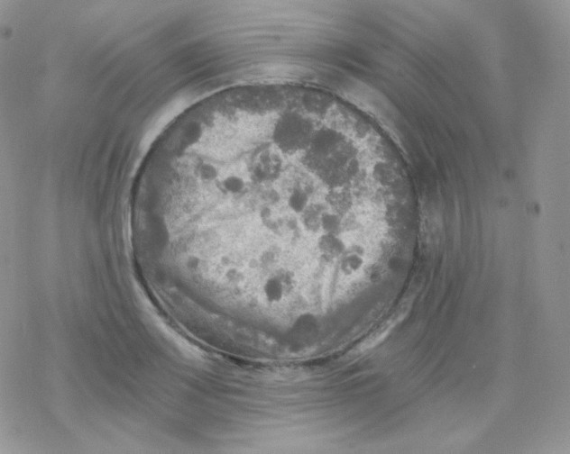 X0000078301083200611251502