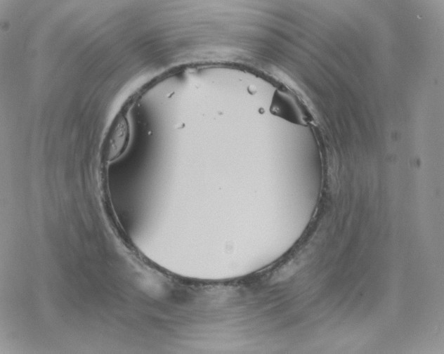 X0000078301085200611251502