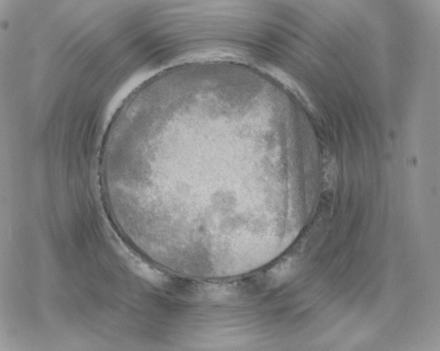 X0000078301086200611251502