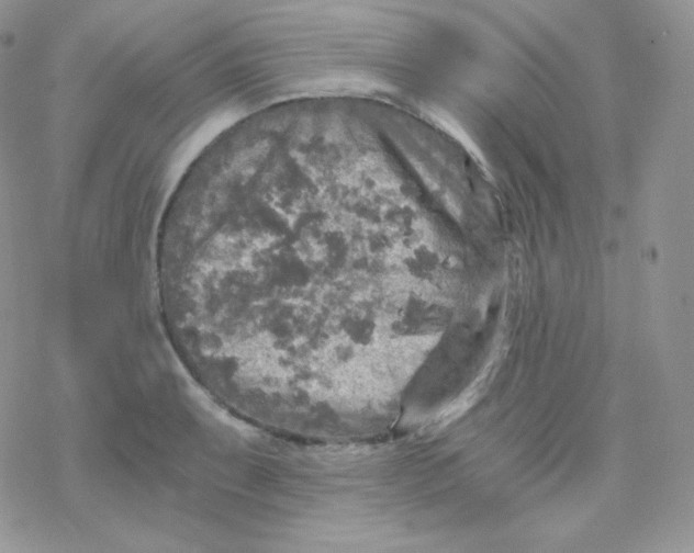 X0000078301087200611251502