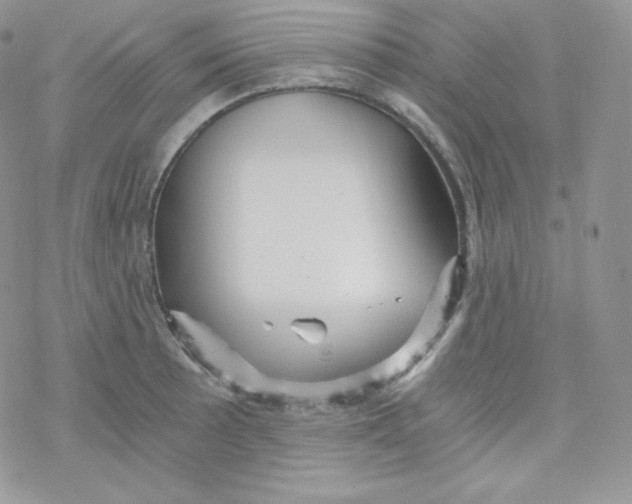 X0000078301089200611251502