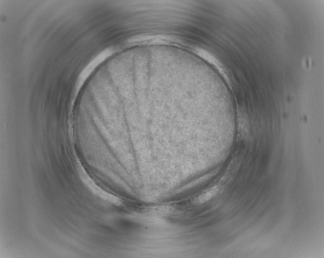 X0000078301090200611251502