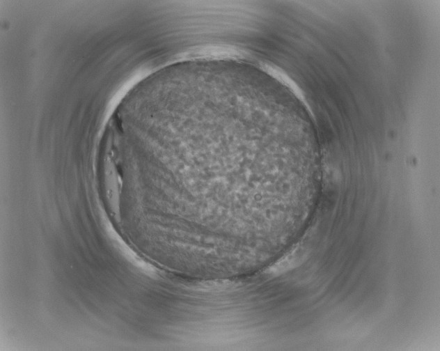 X0000078301091200611251502