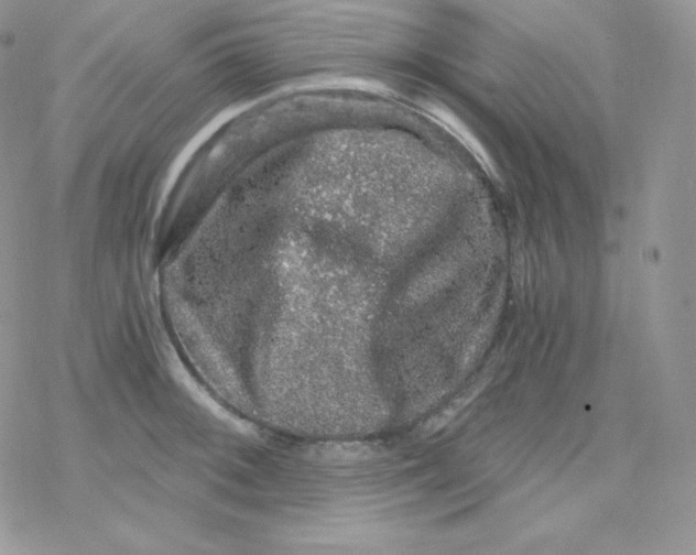 X0000078301092200611251502