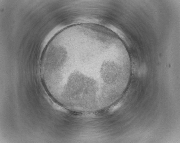 X0000078301094200611251502