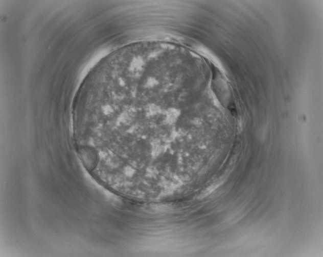 X0000078301095200611251502