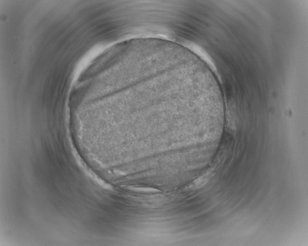 X0000078301096200611251502