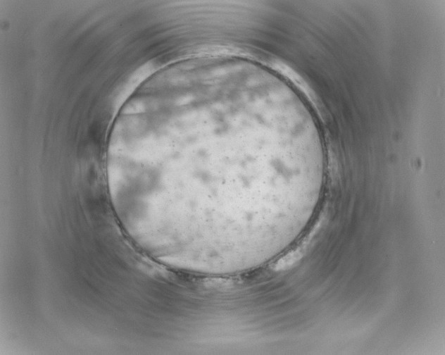 X0000078301097200611251502