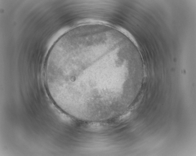 X0000078301098200611251502