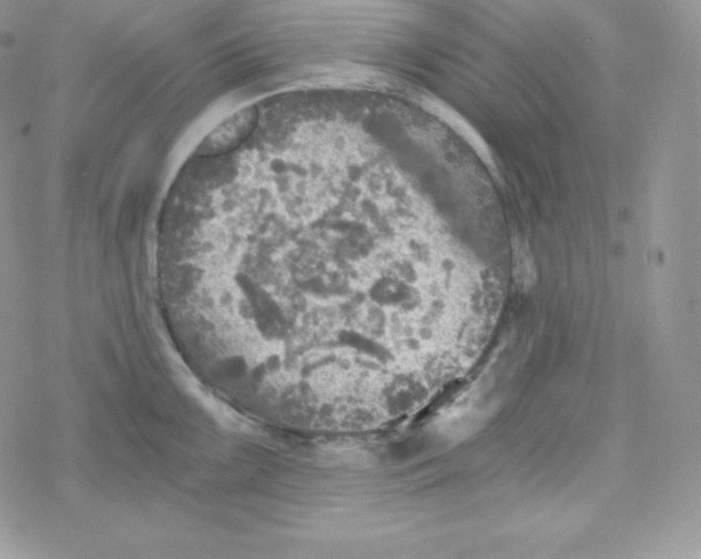 X0000078301099200611251502