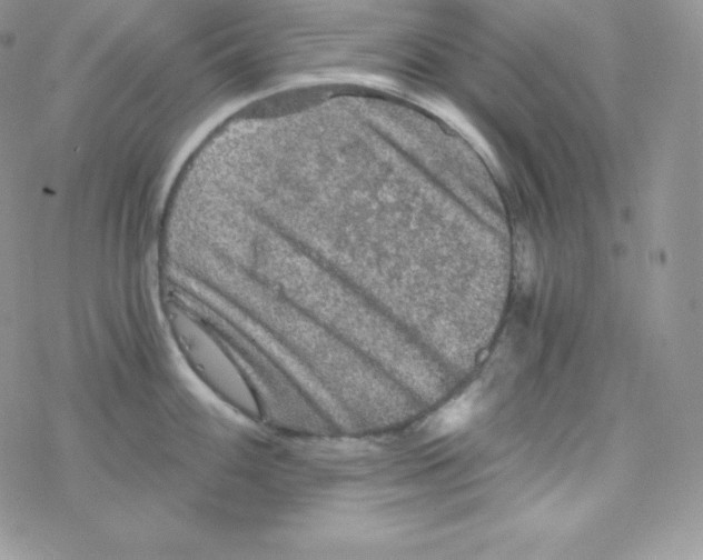 X0000078301100200611251502