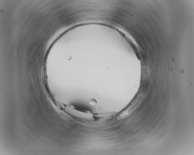 X0000078301101200611251502