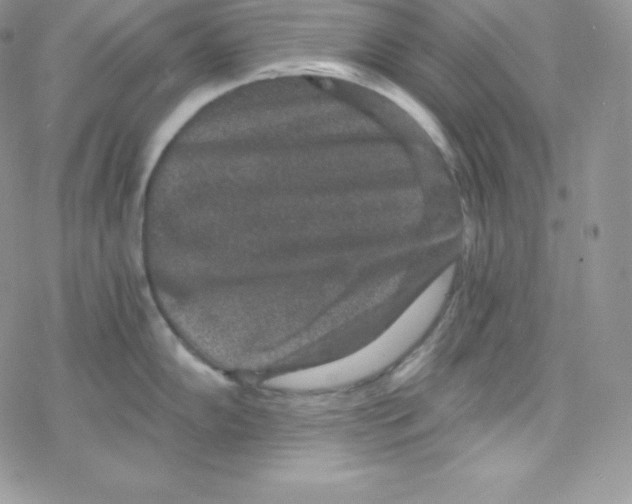 X0000078301102200611251502