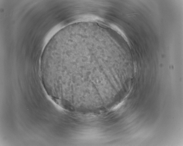 X0000078301103200611251502