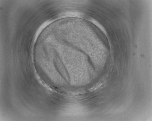 X0000078301104200611251502