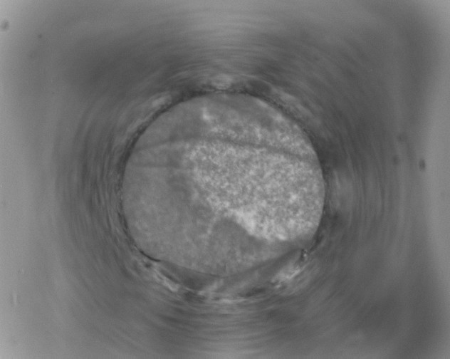 X0000078301105200611251501