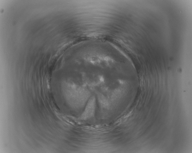 X0000078301106200611251501