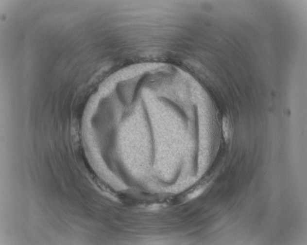 X0000078301107200611251501