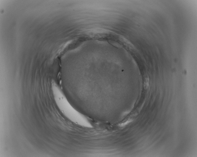 X0000078301108200611251501