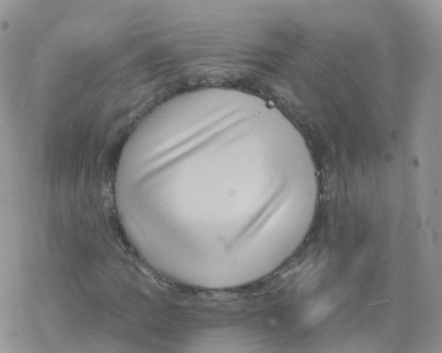 X0000078301109200611251501