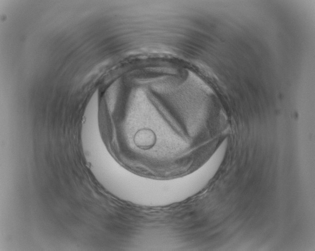 X0000078301110200611251501