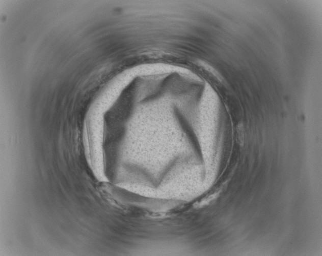 X0000078301111200611251501