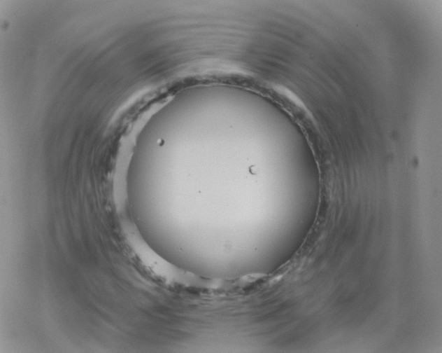 X0000078301112200611251501