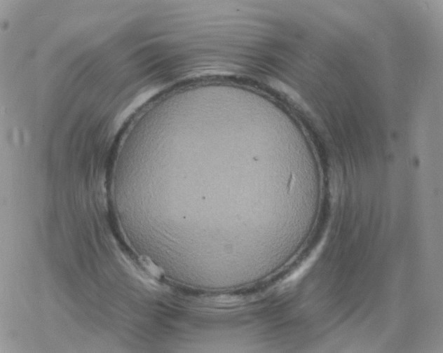 X0000078301113200611251501