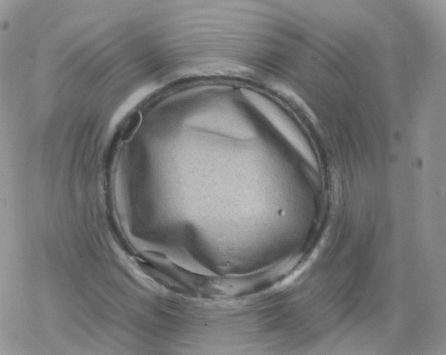 X0000078301114200611251501