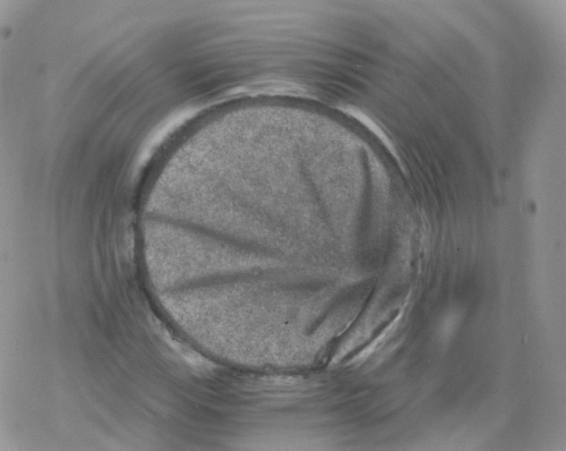 X0000078301115200611251501