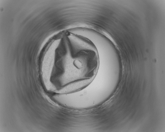 X0000078301116200611251501