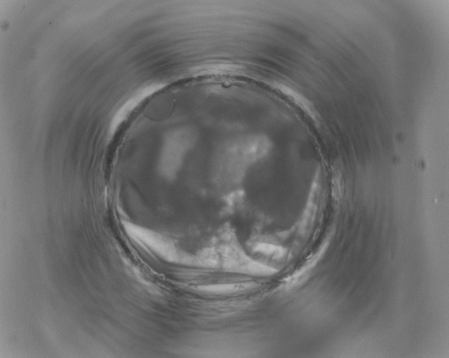 X0000078301117200611251501