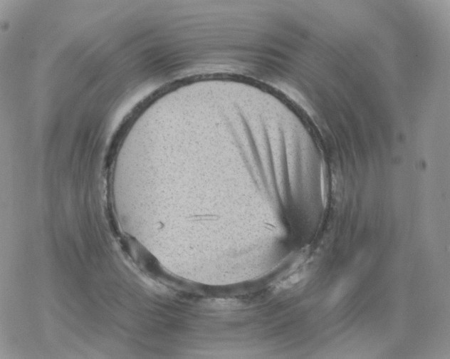 X0000078301119200611251502