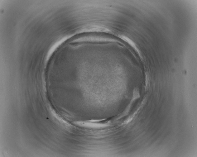 X0000078301120200611251502