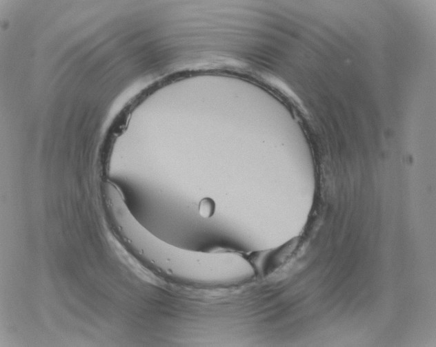 X0000078301122200611251502