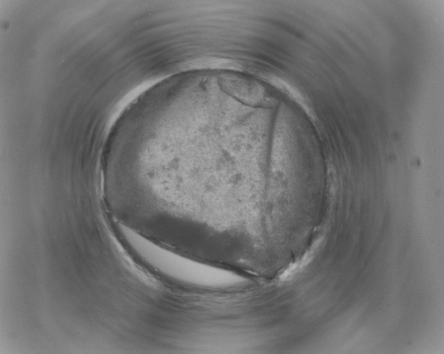 X0000078301125200611251502