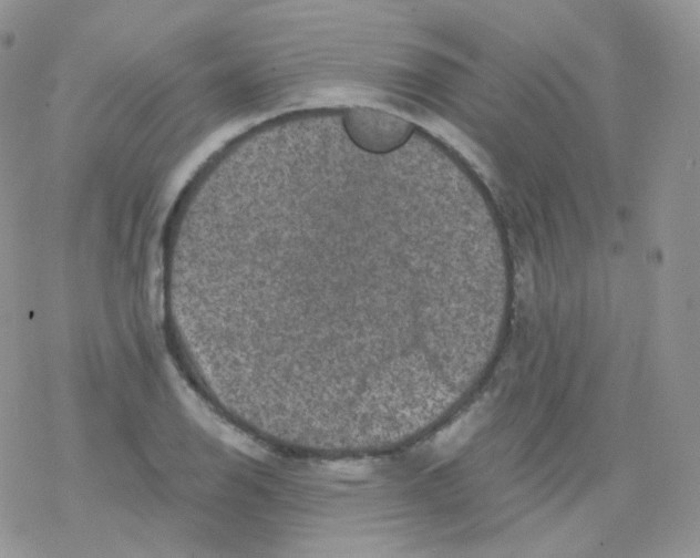 X0000078301126200611251502