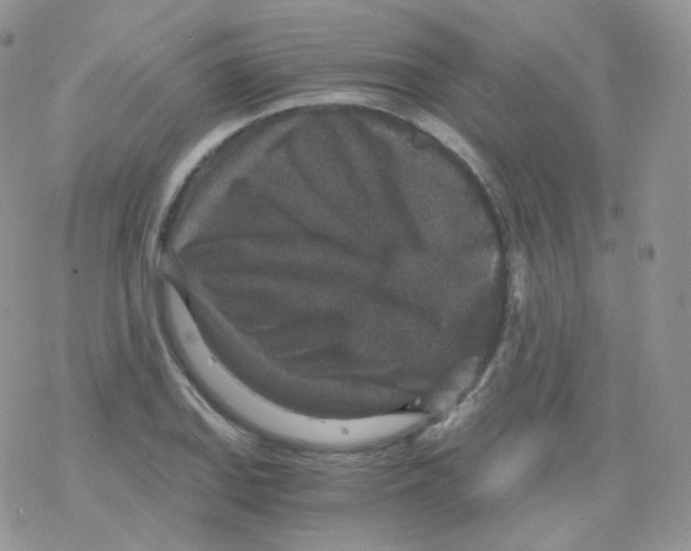 X0000078301127200611251502