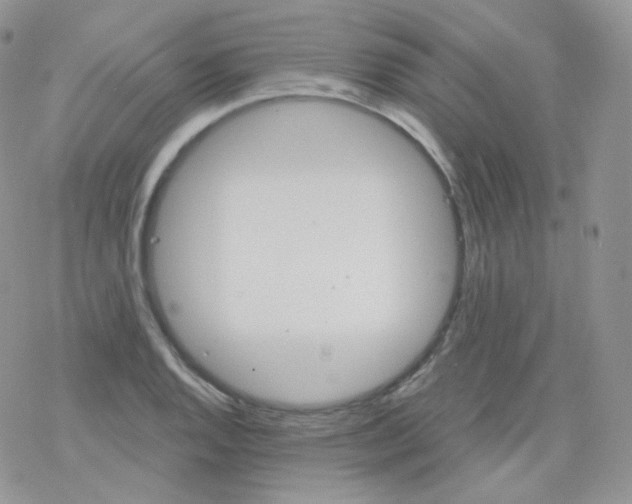 X0000078301128200611251502