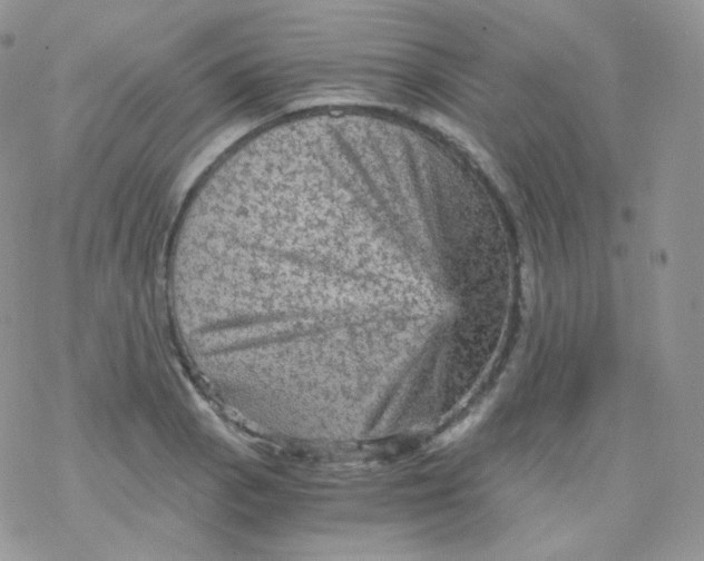 X0000078301129200611251502