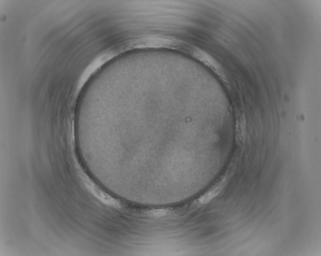 X0000078301130200611251502