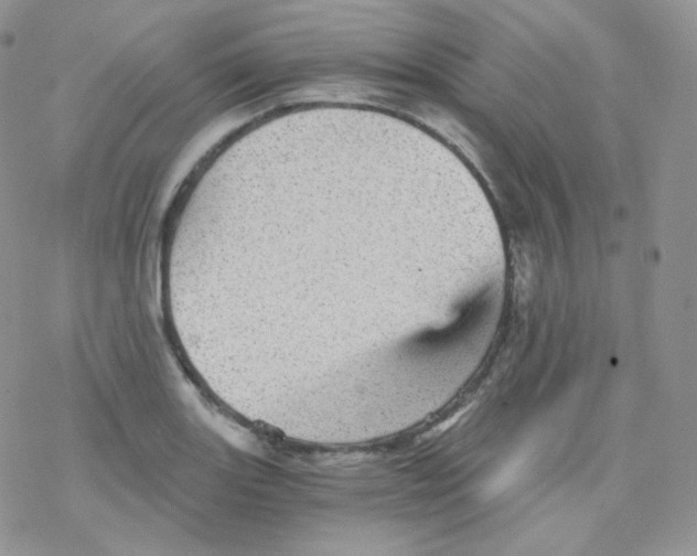 X0000078301131200611251502