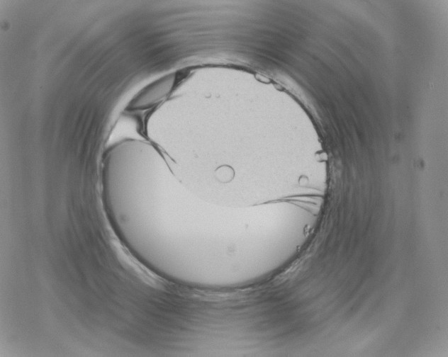 X0000078301132200611251502