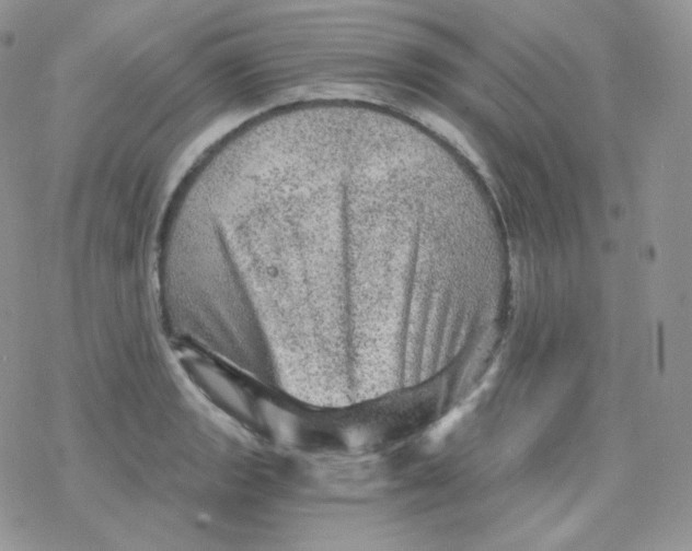 X0000078301133200611251502