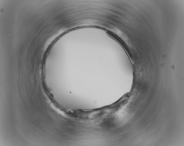 X0000078301134200611251502