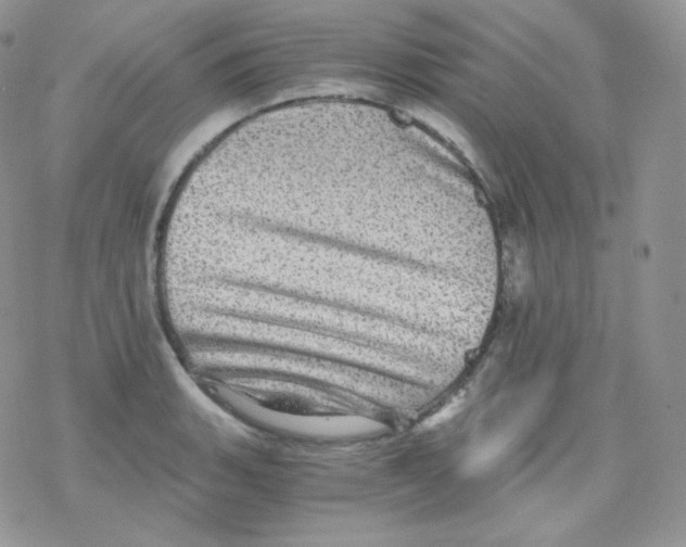 X0000078301135200611251502